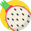 Pitaya icon 64x64