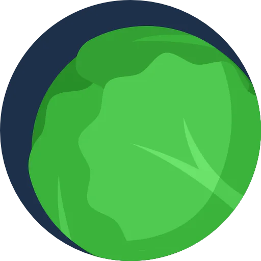 Cabbage icon