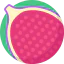 Fig icon 64x64