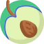 Plum icon 64x64