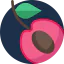 Cherry icon 64x64