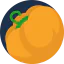 Pumpkin icon 64x64