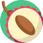 Lychees icon 64x64