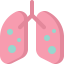 Lungs icon 64x64