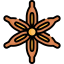 Anise icon 64x64