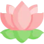 Lotus icon 64x64