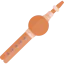 Bagpipes icon 64x64