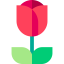 Flower icon 64x64