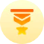 Medal of honor ícone 64x64
