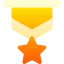 Medal of honor icon 64x64