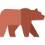 Grizzly bear icon 64x64