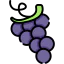 Grape 图标 64x64