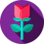 Rose icon 64x64