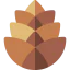 Pine cone 상 64x64