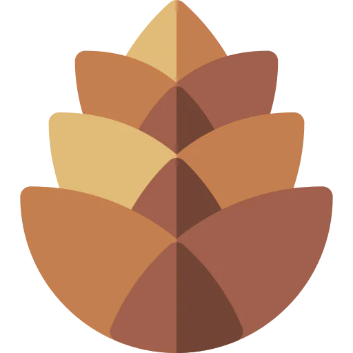 Pine cone 图标
