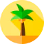 Palm tree icon 64x64