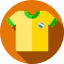 Brazil icon 64x64