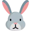 Rabbit 图标 64x64