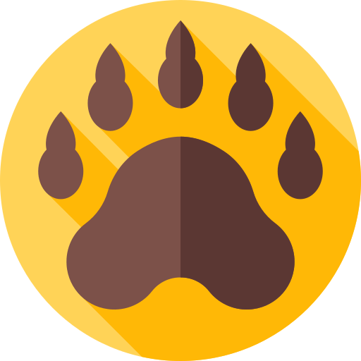 Bear icon