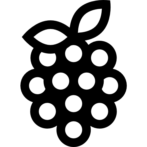 Raspberry ícono