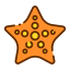 Starfish icon 64x64