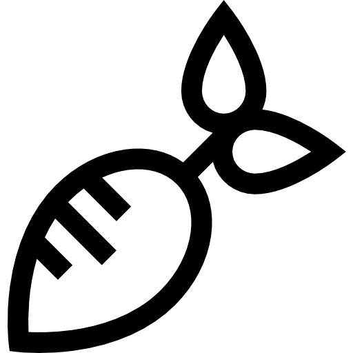 Radish icon