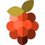 Raspberry ícono 64x64