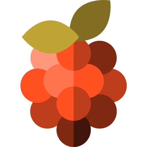 Raspberry Symbol