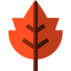 Leaf ícono 64x64