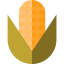 Cob ícono 64x64