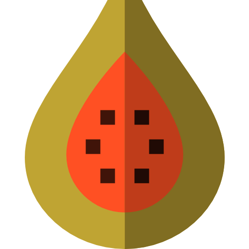 Fig icon