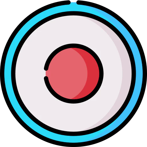Record icon