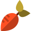 Radish 图标 64x64