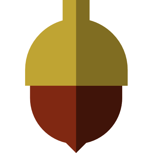 Acorn 图标