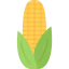 Corn Ikona 64x64