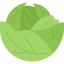 Cabbage Ikona 64x64