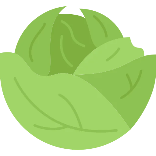 Cabbage icon