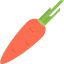 Carrot Ikona 64x64