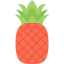 Pineapple icon 64x64