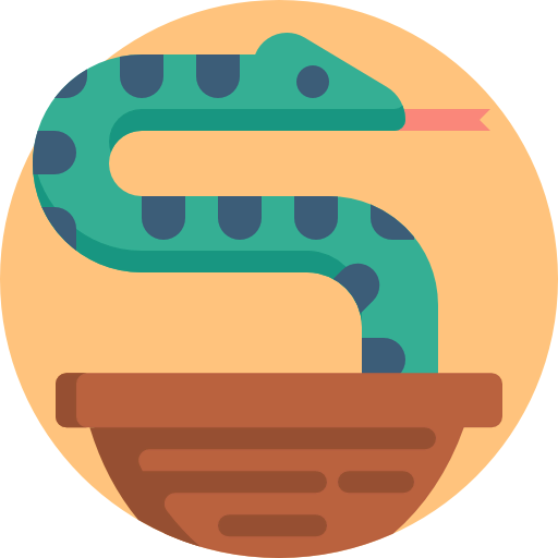 Snake icon