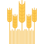 Wheat icon 64x64