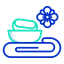 Spa icon 64x64