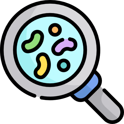 Magnifying glass icon
