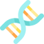 Dna icon 64x64