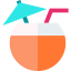 Кокосовый напиток иконка 64x64