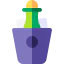 Champagne icon 64x64
