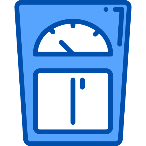 Scale icon