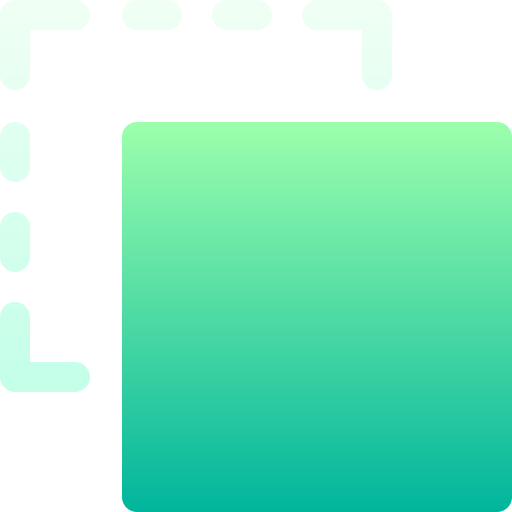 Duplicate icon