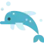 Dolphin 상 64x64