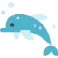 Dolphin іконка 64x64